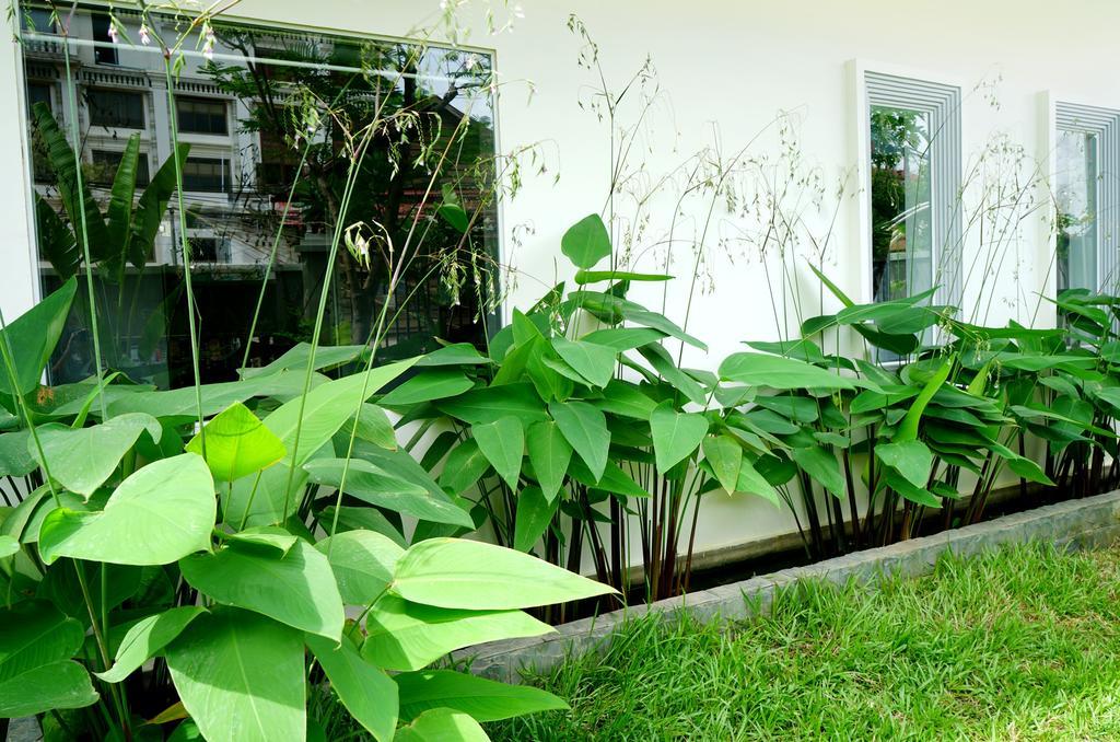 Paris Angkor Boutique Hotel Siem Reap Eksteriør billede